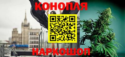дмт Краснодар