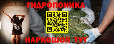дмт Краснодар