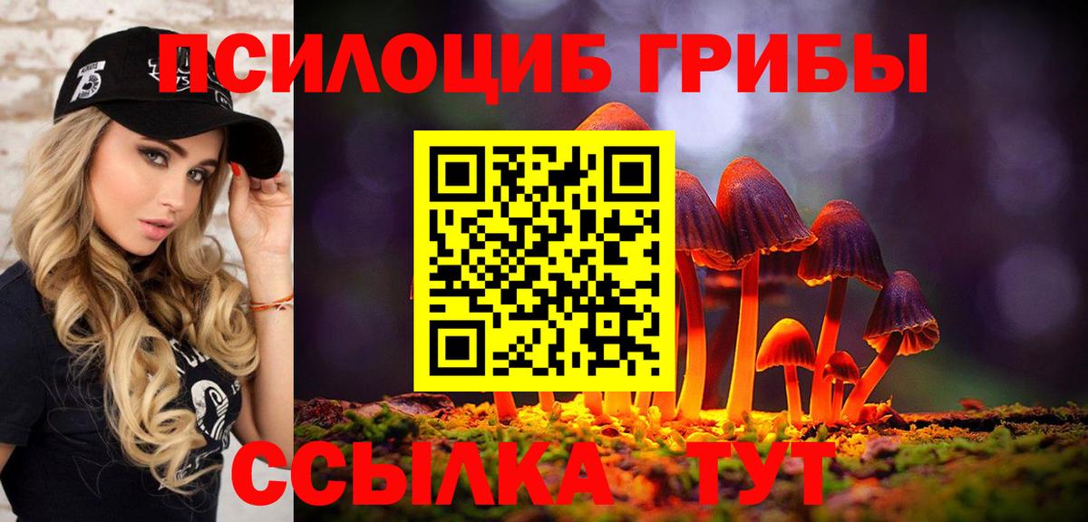 Галлюциногенные грибы ЛСД  Вход с VPN  купить закладку  Гусев 