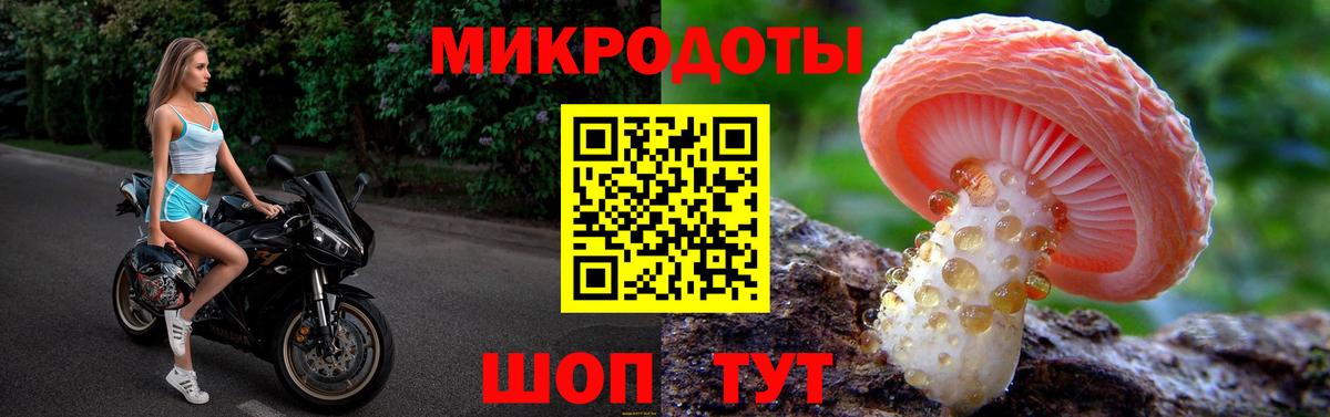 Псилоцибиновые грибы GOLDEN TEACHER Гусев